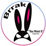 cover: Brrak - You Want It