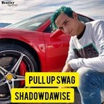 cover: Shadowdawise - Pull Up Swag