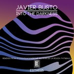 cover: Javier Busto - Into The Darkness (Remixes)