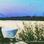 cover: Indigo Skies - Polaroids (Rory Godson Remix)