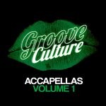 cover: Andy Tee|Micky More|Various - Groove Culture Accapellas Vol 1 (Compiled By Micky More & Andy Tee)