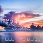 cover: Violet Sky - Feel The Bliss