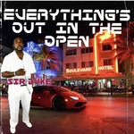 cover: Erica Perkins - Everything Is Out In The Open