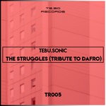 cover: Tebu.sonic - The Struggles (Tribute To Dafro)