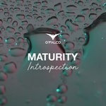 cover: O'falco - Maturity (Introspection)