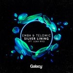 cover: Emba|Leah Rye|Telomic - Silver Lining