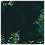 cover: Eli Gadi - Deep Forest