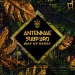 cover: Subp Yao|An-ten-nae - Way Up (Subp Yao Remix)