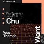 cover: Wes Thomas - Want Chu (Original Mix)