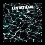 cover: Flavien Berger - Leviathan