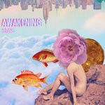 cover: Stas - Awakening