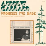 cover: Andrew Gabbard - Promises I've Made