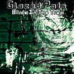 cover: Glazed Pots - Birds In The Trap