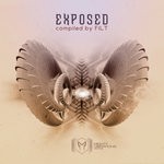 cover: Filt|Various - Exposed