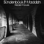 cover: Maddizin|Sundenbock - Hidden Forces