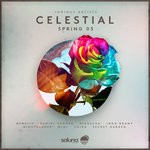 cover: Various - Celestial Spring 03