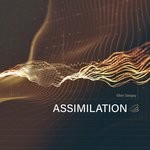 cover: Elkin Sergey - Assimilation