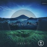 cover: Serenity - You're Not Alone (Original Mix)