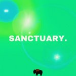 cover: Diverze. - Sanctuary.