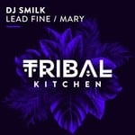 cover: Dj Smilk - Lead Fine/Mary