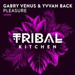 cover: Gabry Venus & Yvvan Back - Pleasure (Original Mix)