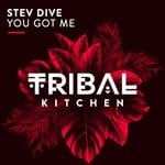 cover: Stev Dive - You Got Me (Original Mix)