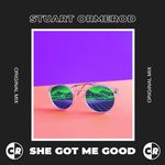 cover: Stuart Ormerod - She Got Me Good