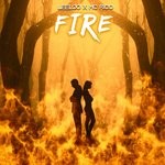 cover: Leeloo - Fire