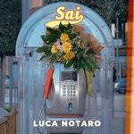 cover: Luca Notaro - Sai