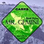 cover: Mr. Gemini - Dark Flying (Rowen X Remix)