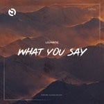 cover: Lounatic - What You Say