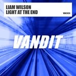 cover: Liam Wilson - Light At The End