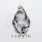 cover: Stimming - Ludwig