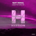 cover: Bam Signal - Under The Purple Sky