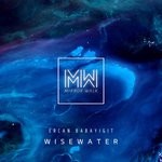 cover: Ercan Babayigit - Wisewater