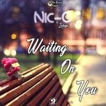 cover: Nic-o - Waiting On You