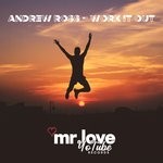 cover: Andrew Ross - Work It Out