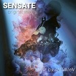 cover: Anisimov - Sensate