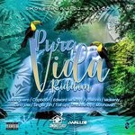 cover: Various - Pura Vida Riddim