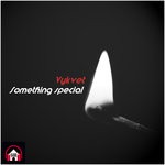 cover: Vykvet - Something Special