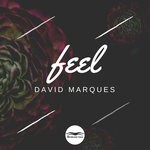 cover: David Marques - Feel (Original Mix)