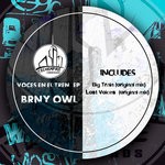 cover: Brny Owl - Voces En El Tren