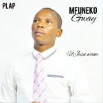 cover: Mfuneko Gwayi - UJesu Wam