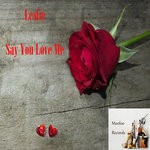 cover: Leslie - Say You Love Me