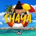 cover: Beast Feat Mondli Ngcobo|Spiritbanger - Shaya