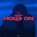 cover: Spezzo - Hold On