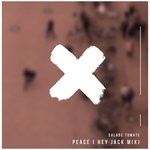 cover: Salade Tomate - Peace (Hey Jack Mix)