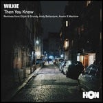 cover: Wilkie - Then You Know