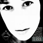 cover: Mr. Gemini - Terra