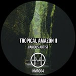 cover: No Idols|No Neim|Piero Ceraolo|Tw84' - Tropical Amazon II